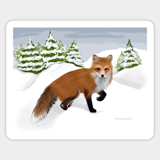 Red Fox in the Snow Sticker